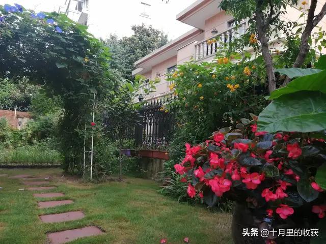 家住别墅是什么样的感觉？插图34