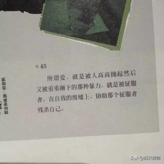 沉默的斗牛犬天涯:你看过最扎心的网易云评论有哪些？