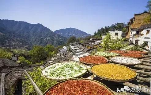 房子的好处都有哪些,住在有田有地，有房子的农村有哪些好处？