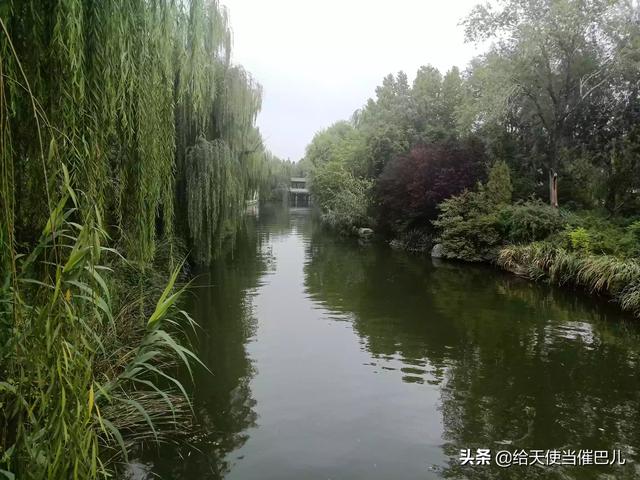 杭州西湖与济南大明湖同为免费景区,哪一个更值得去？