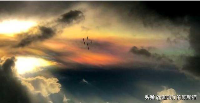 头条问答 孔子把客人比喻为蚱蜢教导弟子 这个故事是对还是错 8个回答