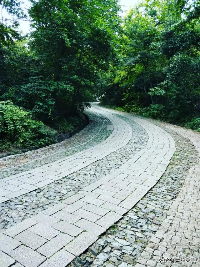 你一年登几次紫金山呀？南京的朋友都知道紫金山是南京的绿肺,一年四季不同的风景？