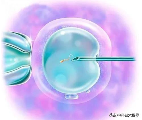 郑爽代育生子是怎么回事:郑爽代孕曝出的一系列代孕产业链，说明了当今部分人的什么问题？