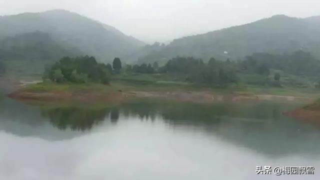 海底有可能存在巨型生物吗？