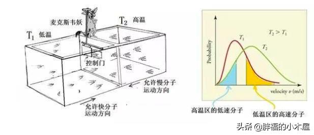 世界上最后一只神兽，物理学的四大神兽，除了薛定谔的猫还有哪些