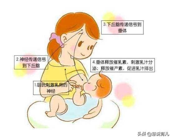 产后一个月奶水少的原因:生完娃为什么有些妈妈母乳不够吃？