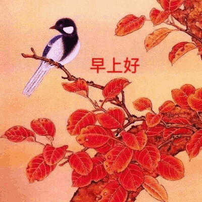 曾让你单曲循环的经典老歌你还记得吗？