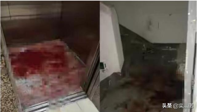 北大弑母案:北大弑母案进展如何，你怎么看？