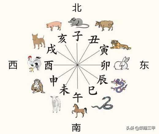 一生好运最旺的生肖:十二生肖中，哪一个生肖人气最旺？(十二生肖哪个生肖最大)