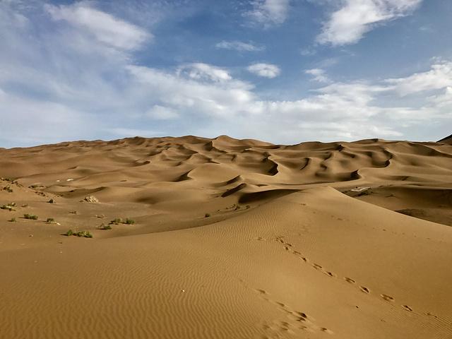 沙漠的沙为什么不能盖房子，沙漠里的沙子不能运到内地建房吗，为何