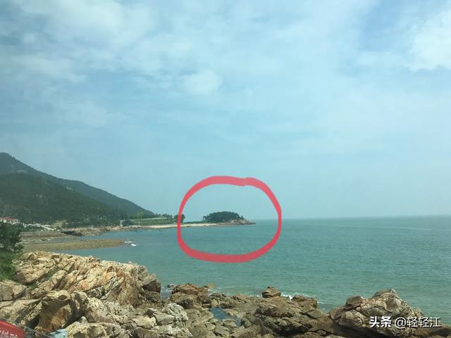 青岛海鱼都有哪些品种图片:青岛美食，鲅鱼与鲐鲅鱼之争，到底该如何区分呢？