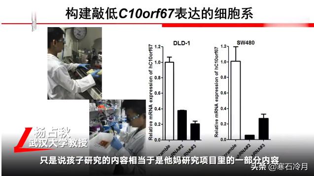 青少年科技创新大赛dv作品，小学生研究癌症获奖遭质疑，一等奖撤销。青少年该不该搞科研