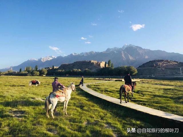 新疆的候鸟有哪些:新疆七八月份带孩子开房车去游玩，准备二十多天，请推荐路线？