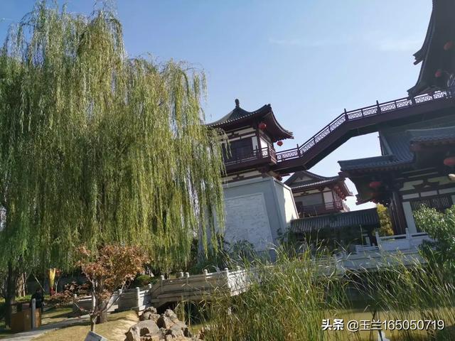 寒舞照片:你见过最让你心生悲凉的nba照片是哪张？