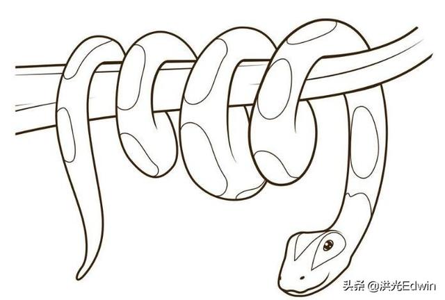 雄黄酒好还是雄黄驱蛇好:雄黄泡酒怎样驱蛇，效果怎么样？