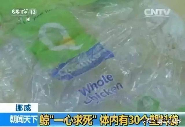 美国下起了塑料雨:如何看待美国“塑料雨”，污染严重，未来真的会演变成垃圾世界吗