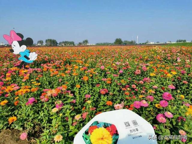洞头跨海大桥灵异事件:能否推荐一下你们当地和所在城市有哪些旅游景点和美食？