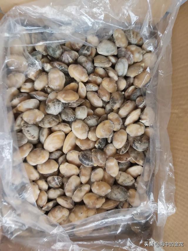 海虾养殖温度:用海鲜缸养殖虾爬子的盐度是多少？温度是多少？