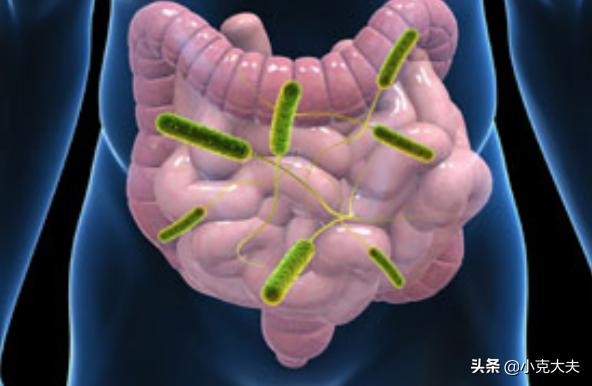大便不成形粘马桶:舌苔厚腻、大便不成形是湿气重吗？怎么祛除湿气？
