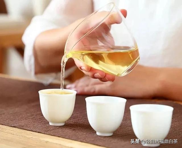 你有没有买过很好喝的白茶？哪个品牌的白茶好喝？
