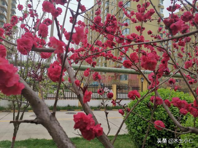 姓名可以惊艳到什么程度？插图41