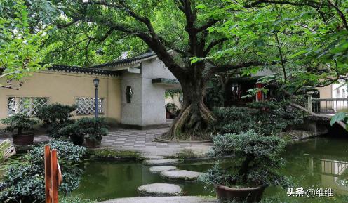 重庆周边<a href=https://maguai.com/list/52-0-0.html target=_blank class=infotextkey>旅游</a>:重庆周边的景点你会选择去哪个？