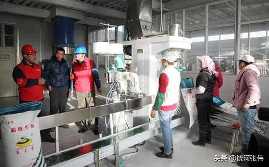 有什么好项目可以在农村发展,有的房子那么大,一年回来才住一两次？