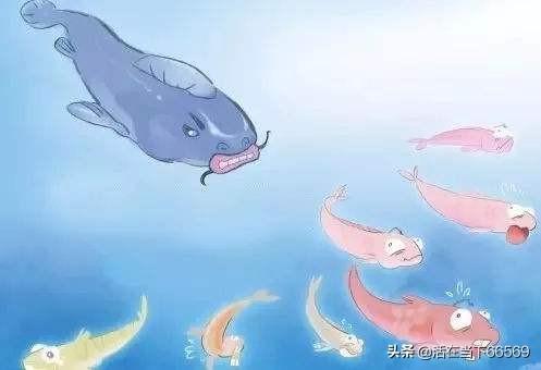 企业管理中「鲶鱼效应」是牺牲了「鲶鱼」吗？