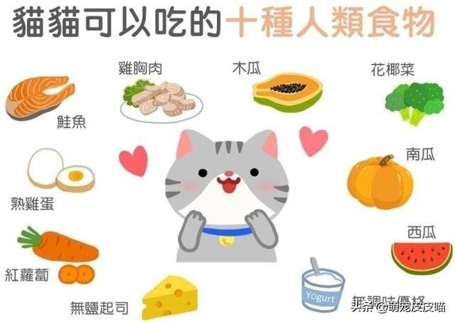 暹罗猫吧:为什么感觉暹罗猫比较少人养？ 暹罗猫优点和缺点