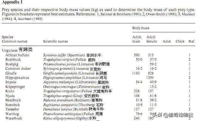南非长颈鹿:非洲草原的长颈鹿是怎么运输到其它国家动物园的？