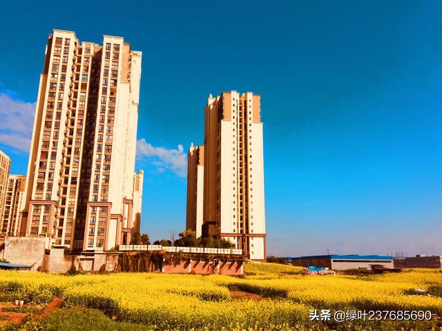 买房子要注意什么:买房子有什么需要特别注意的事项？有经验的谈一下？