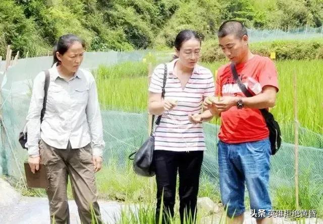 段小洁:袁隆平的弟子谁的成就最高？能接过袁老去世后留下的重任么？