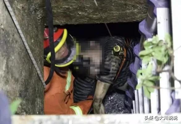 救狗:宠物狗掉进污水井，男子救狗身亡的事件，为什么要支持浙江女子？ 救狗视频