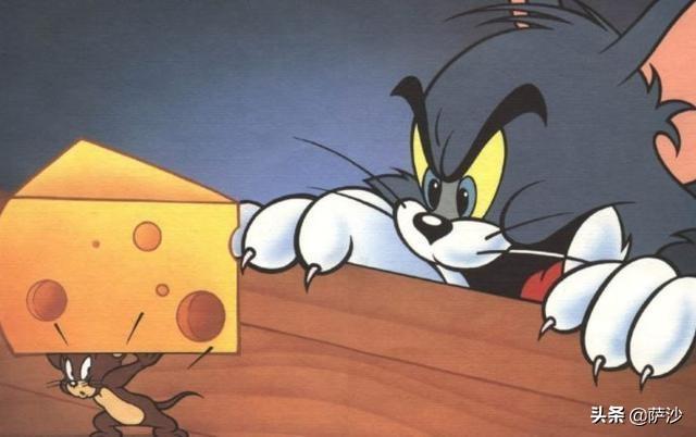 《猫和老鼠》中那种全是洞洞的奶酪叫什么名字，味道如何？插图13