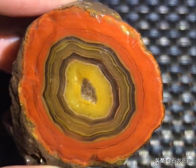 战国红不值钱,战国红的原产地在哪里？有没有交易市场？