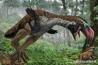 恐龙是鸟的祖先吗:现代鸟类和古代恐龙是同一物种吗？为什么？ 恐龙是鸟的祖先