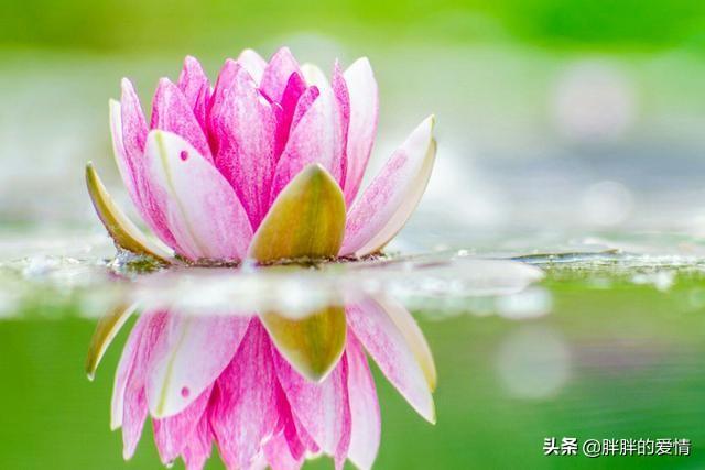 带有人生哲理的句子:有关人生哲理的经典句子？