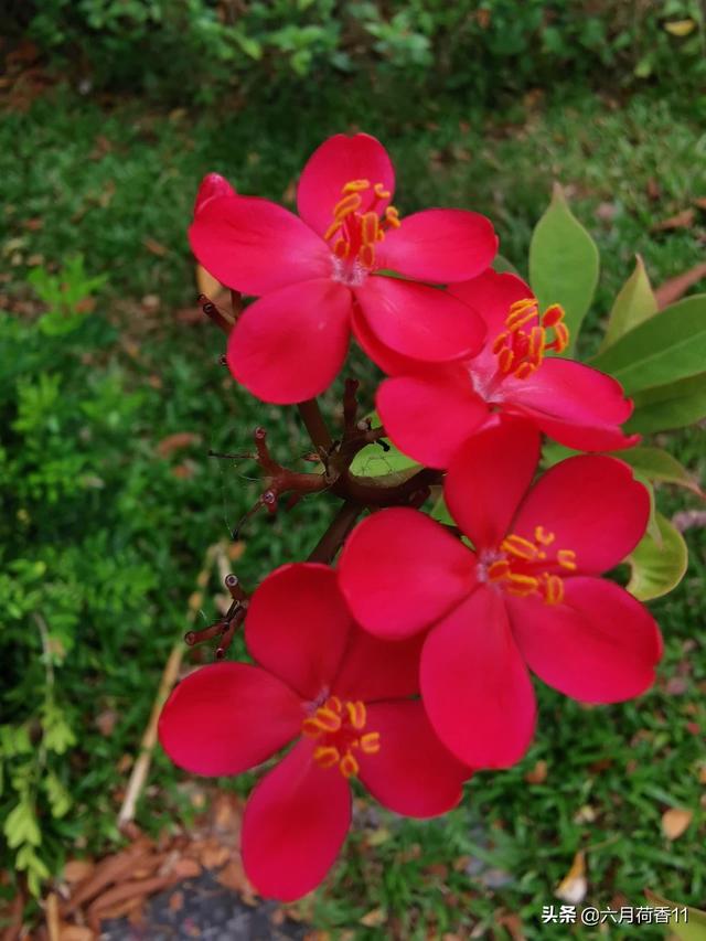 有些人会注定单身吗？为什么？