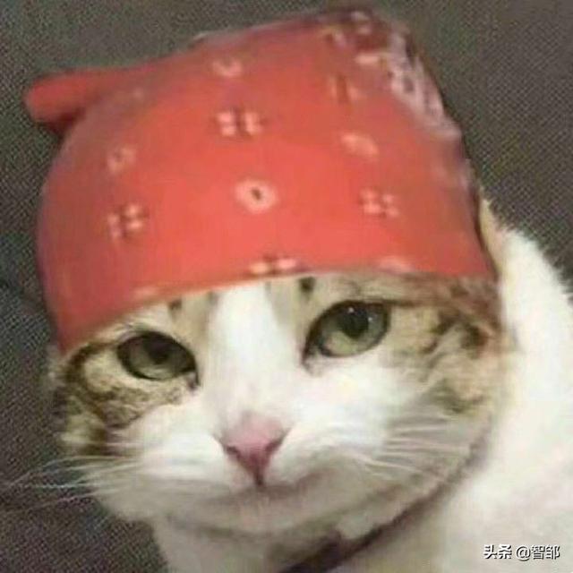 你最近一年访问最多的三个网站是什么？