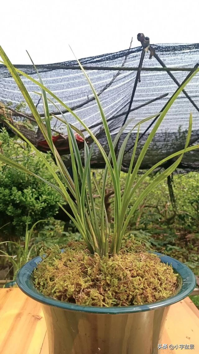 如果有五十万，你会选择县城买房？还是农村盖房？插图24