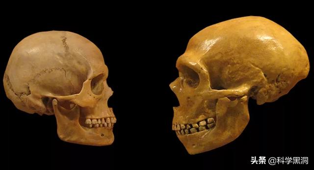 有部电影《边境》,我感觉是尼安德特人的后裔演的,挺重口味,有兴趣的