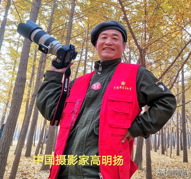 大陆 贱狗俱乐部第2炮:如何看待曼联曼城赛后群殴，穆里尼奥被泼奶砸头？