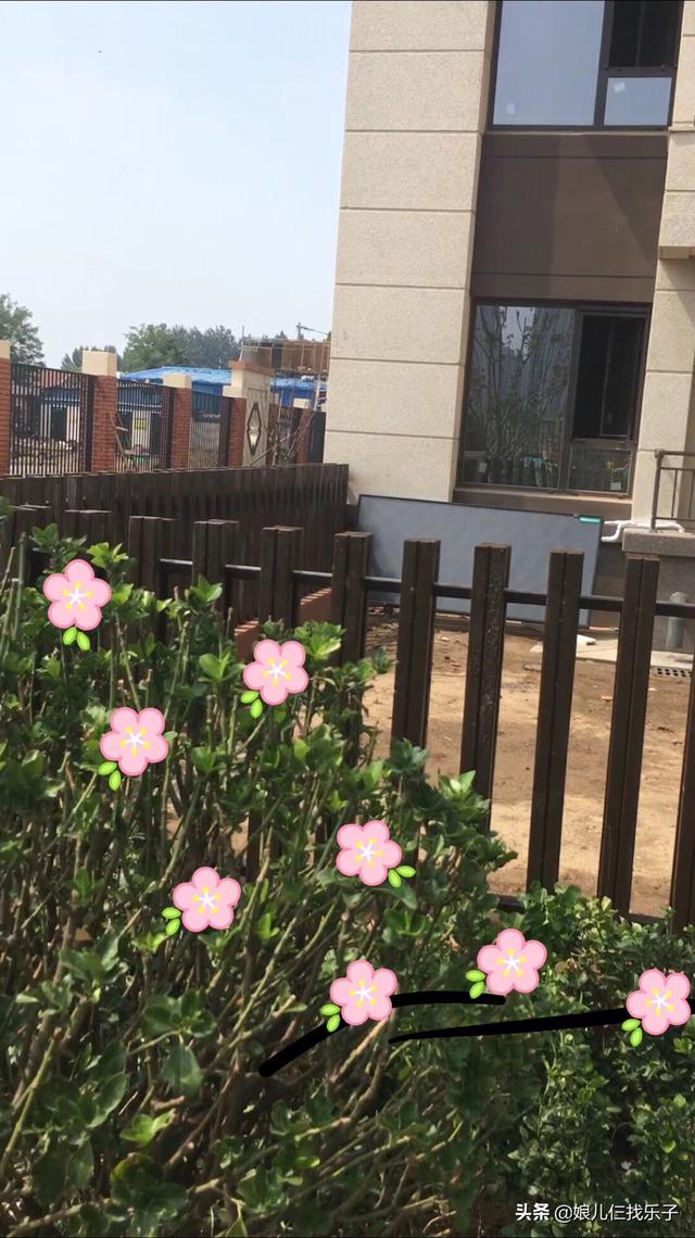 房子住几楼最好,买房如何选择房子的最佳楼层？