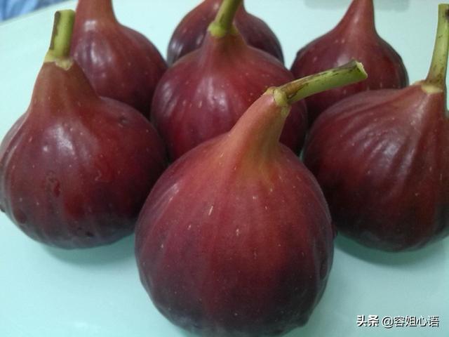 无花果追肥,用什么肥料好？