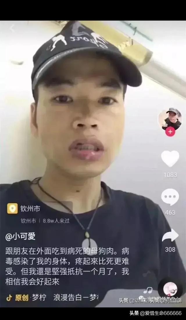 小缉毒犬:在小区内放置狗笼子养狗和杀狗应该归哪个部门管理？怎么处罚？