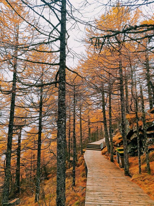 秦岭神秘传说，我想登秦岭主峰太白山，有何攻略