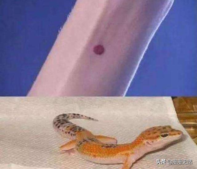 古代男人最爱的防出轨神器,守宫砂灵验吗？