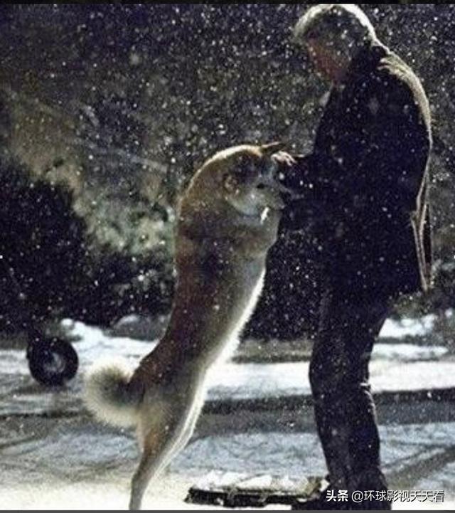 忠犬八公观后感:忠犬八公观后感300字 忠犬八公好看吗？感人吗？