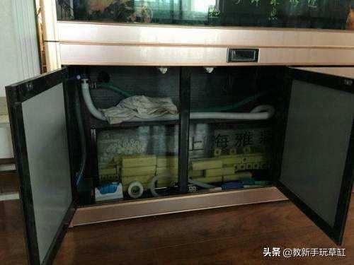 鱼缸养观赏鱼的过滤方法:如何为鱼缸选择合理的过滤器？