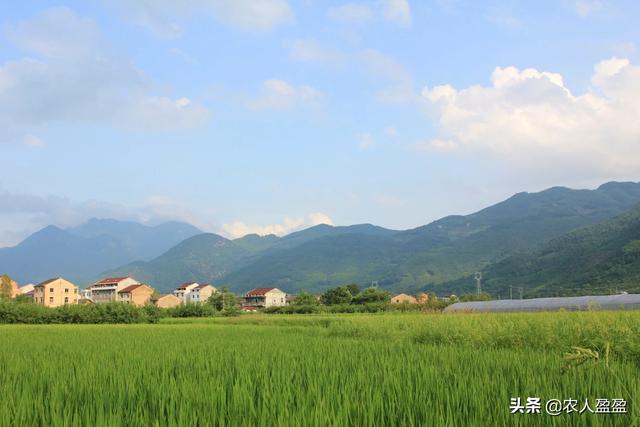 龙抬头是什么意思:农村俗语“二月二龙抬头，大仓满，小仓流”，是什么意思？
